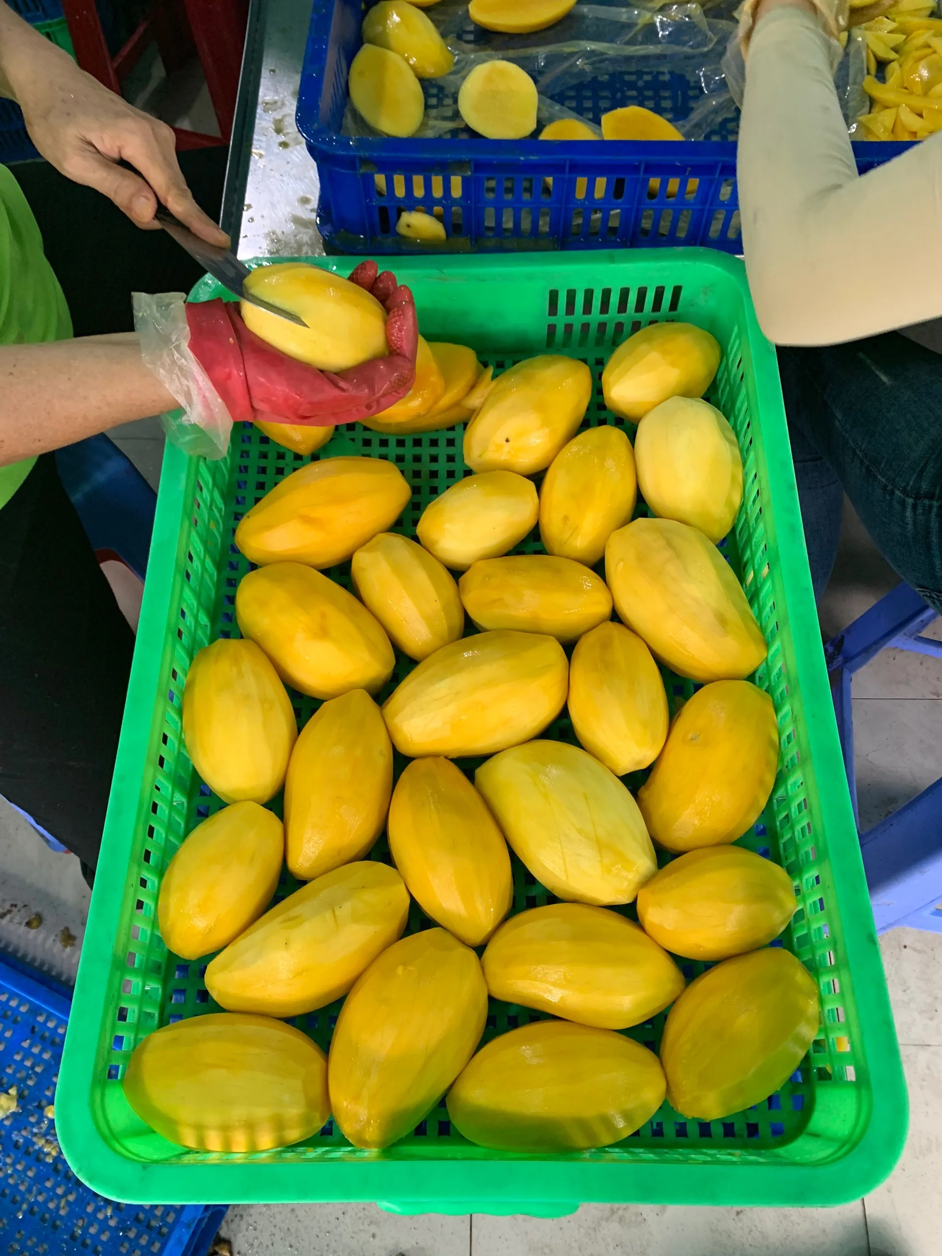 
Frozen Mango Halves/ Sliced High Quality From VietNam Wholesale (Whatsapp: +84906880004 (Mr.Dat) 