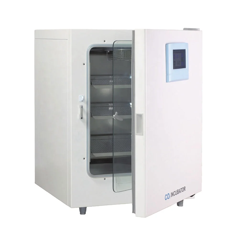 Customized Size Automatic co2 Incubator co2 Chamber