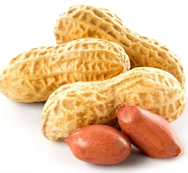 Industrial Agricultural Safety Products Wholesale High Quality Grade Moisture Red Skin Peanut