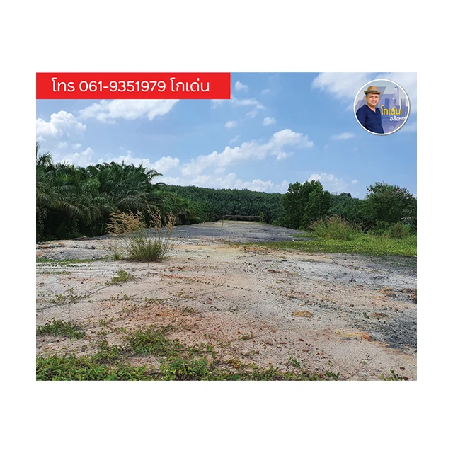 Land для продажи, район Вайн Са, сурат Тани, Таиланд