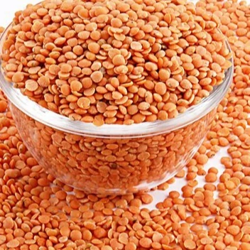 
Organic Red Lentis and Green Lentis for Sale 