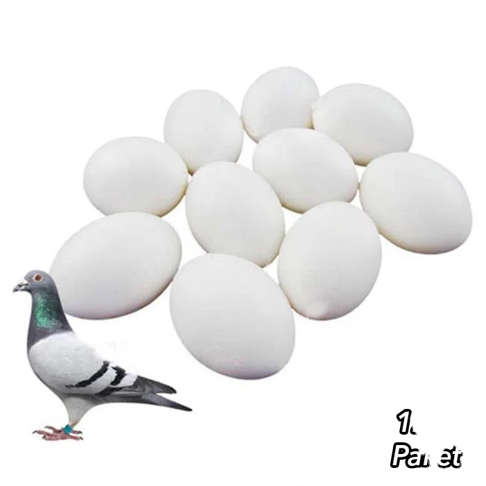 Artificial Egg 10 pcs