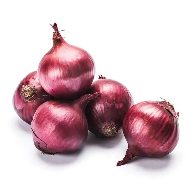 Wholesale 100% Natural Product New Crop Fresh Food Grade Quality Red Onion Importers Fresh Vegetables