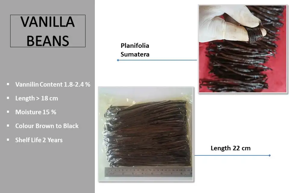 Product Description.jpg