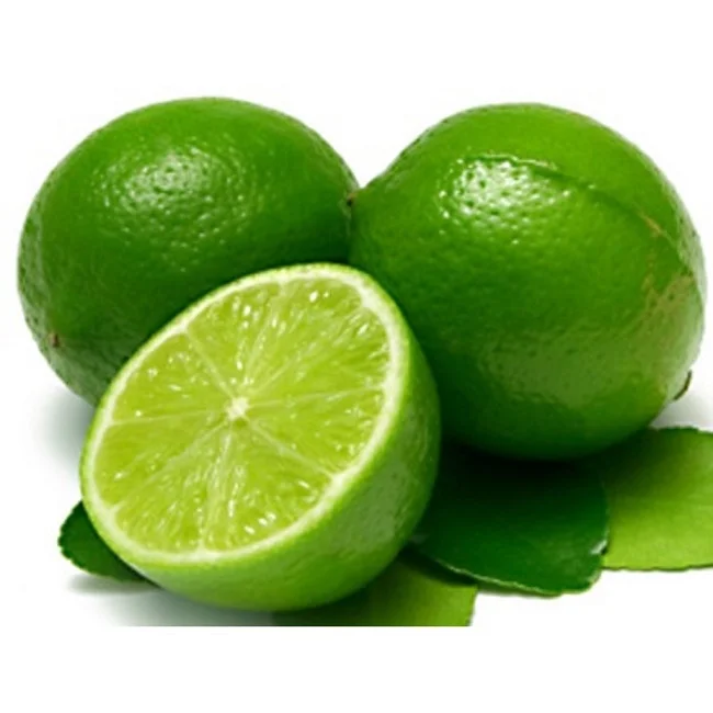 Best price GREEN LIME first grade 8-12pcs/kg