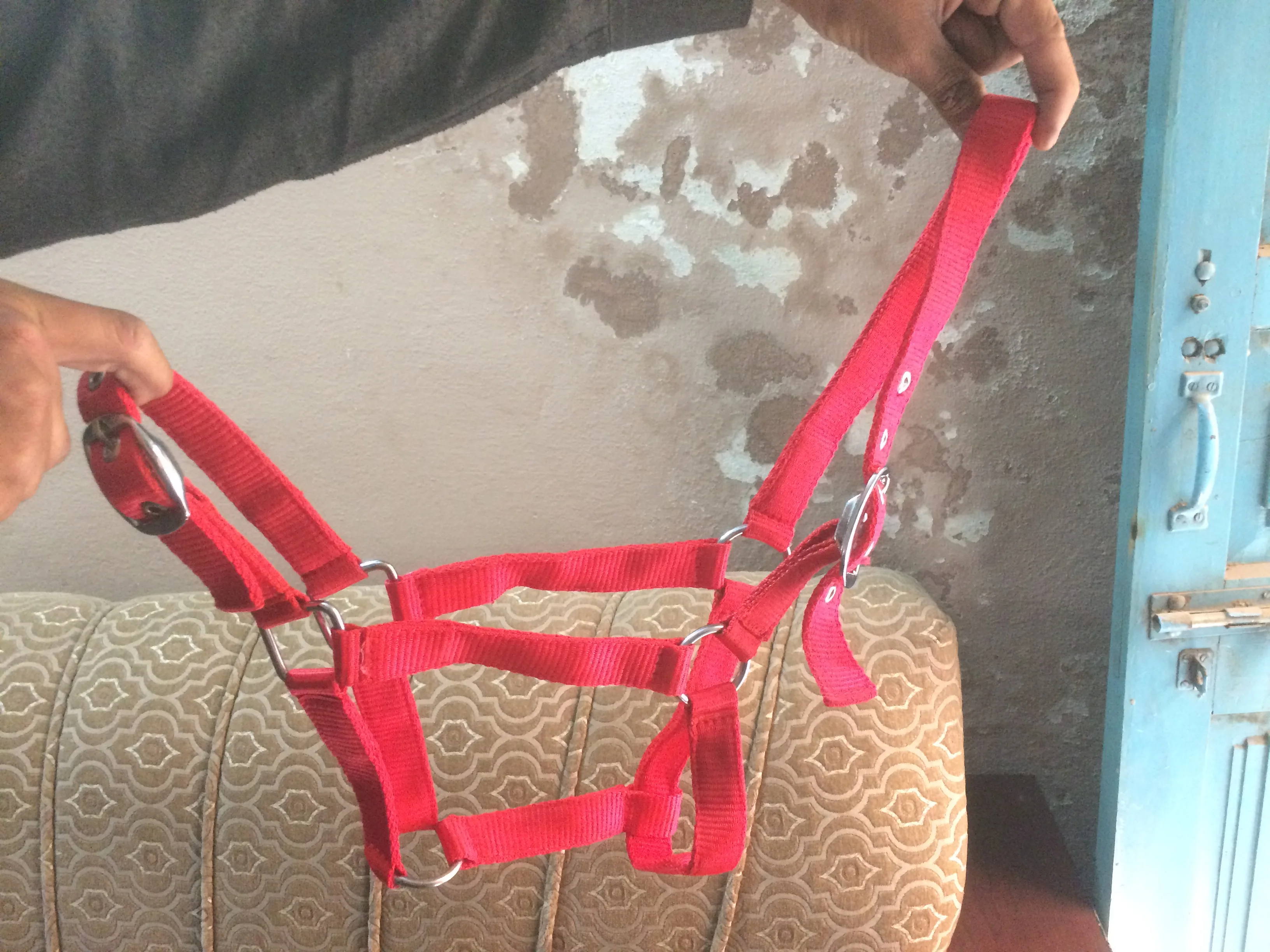 English & Western Saddle Horse Halter Nylon Material with PP & Leather Various Styles Available
