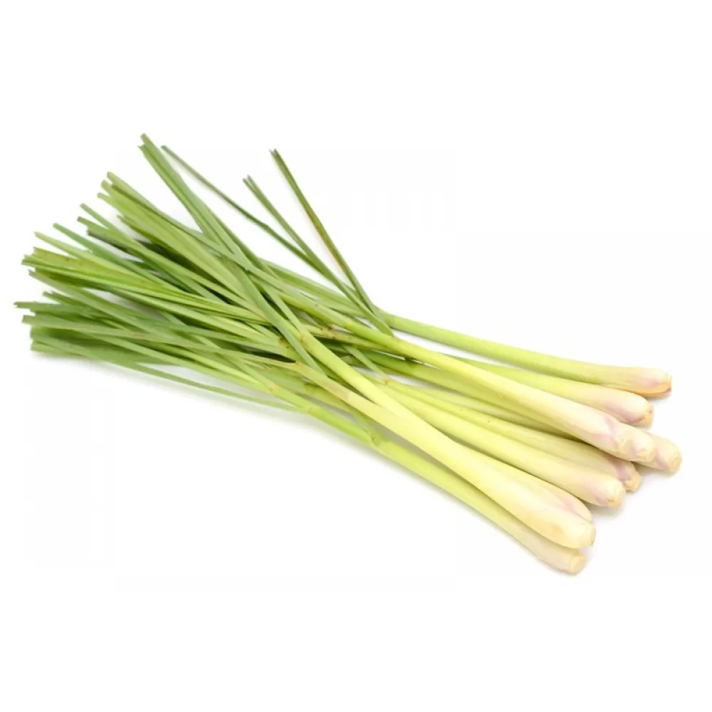 The Best Price With High Quality - Frozen Lemongrass Origin Vietnam Bulk Quantities Available For Export