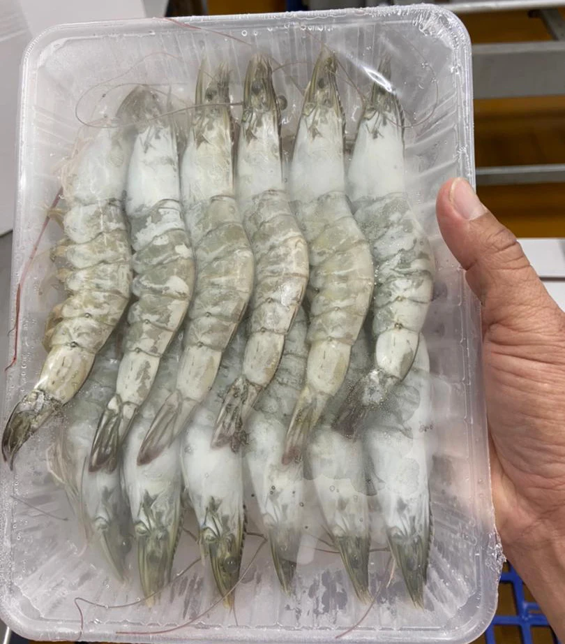  Высшее качество лидер продаж вкусные морепродукты Малайзия IQF 500 г Изумрудный креветка премиум класса