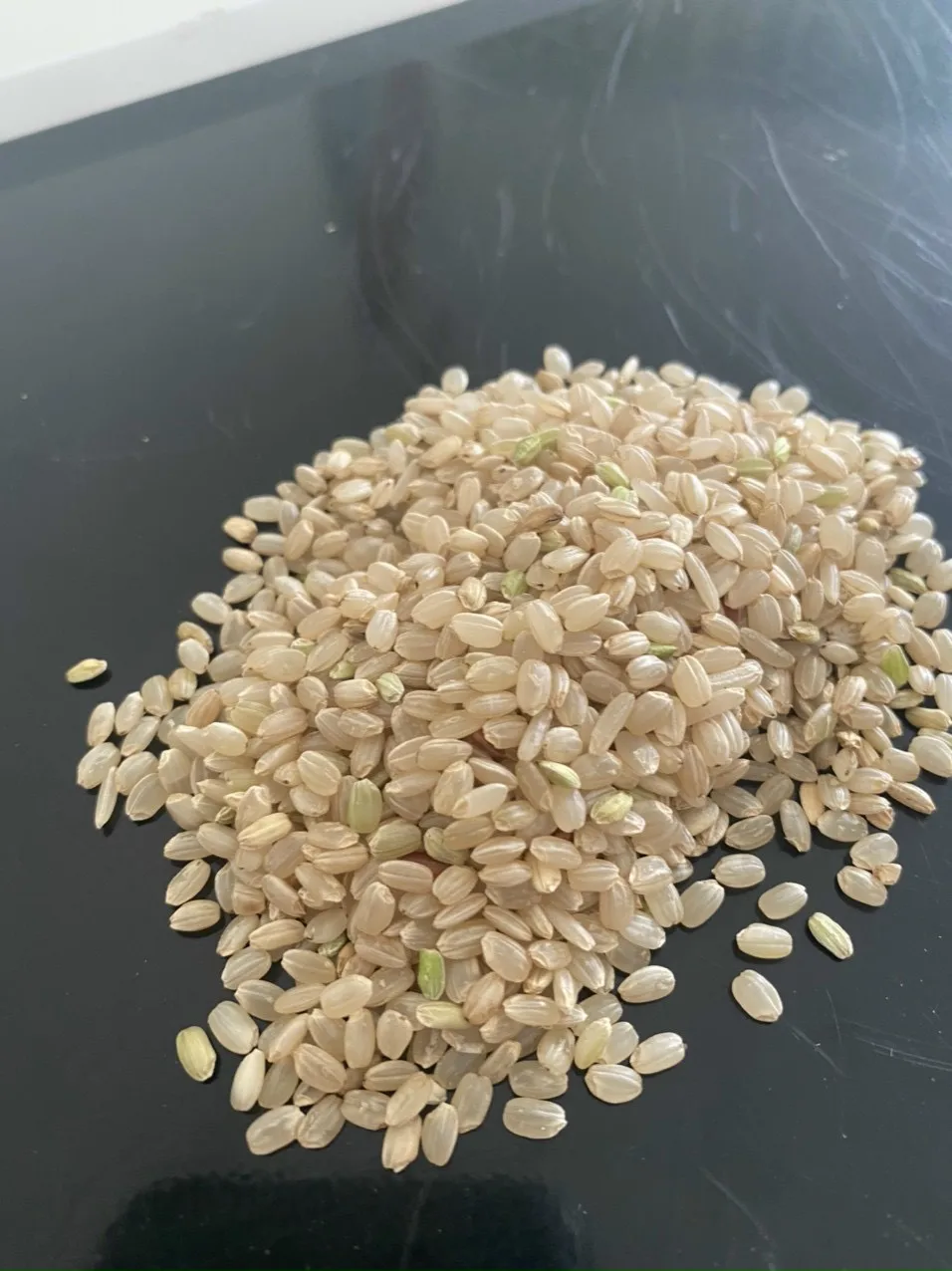 JAPONICA BROWN RICE 5% BROKEN DRIED STYLE SHORT GRAIN RICE FROM VIET NAM
