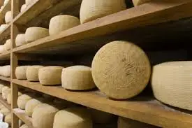 Made in Italy Food , cheeses , sheep cheese , with spicy