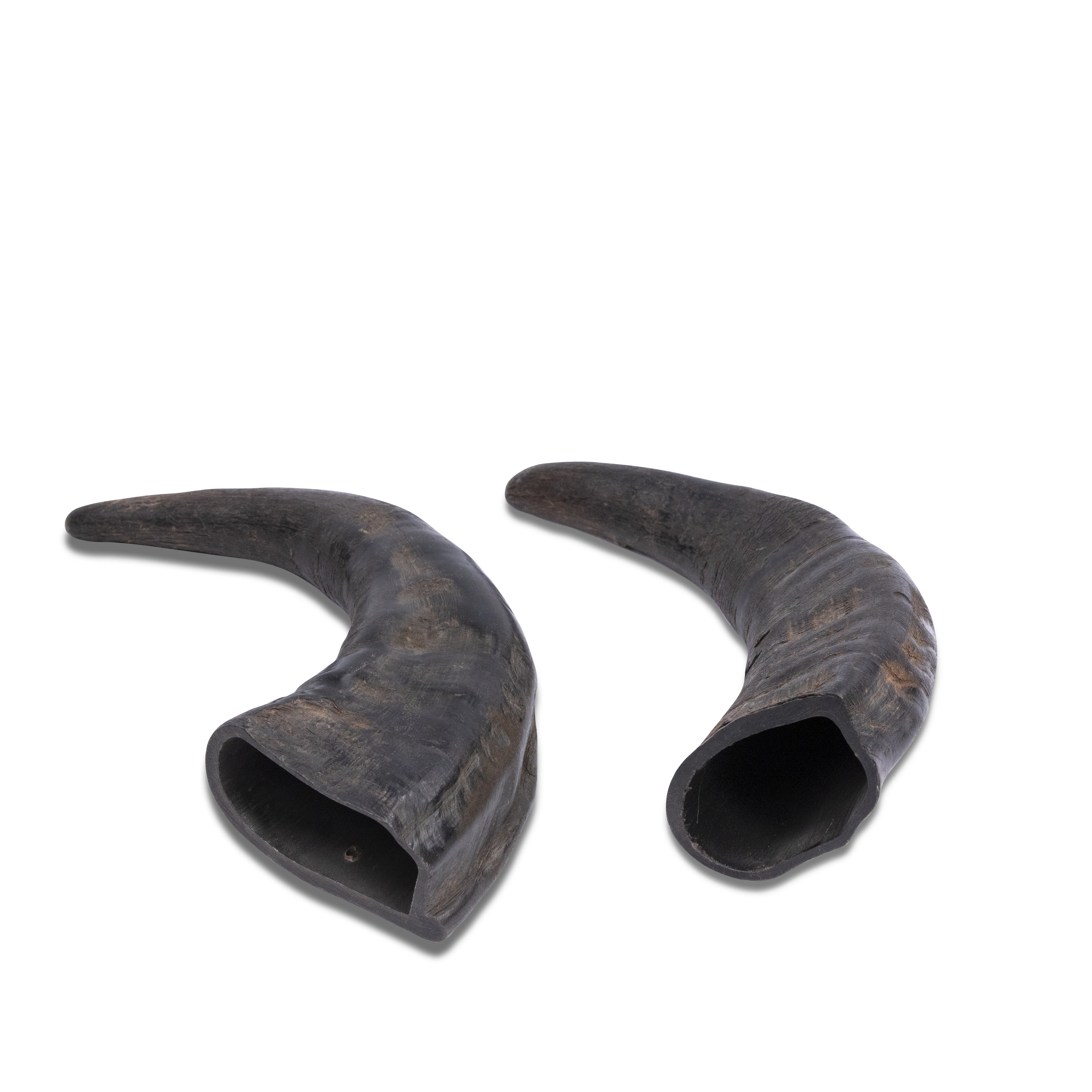 Hot selling water buffalo horn dog chew /premium quality horn chew in different sizes and weight