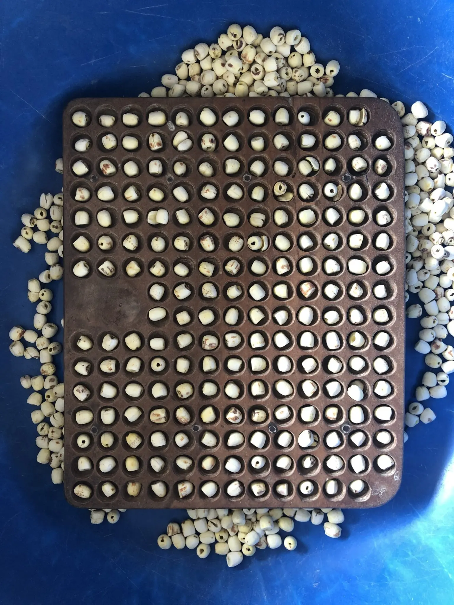 Вьетнамское происхождение 100% Натуральные Сушеные белые семена лотоса дешевая цена сельскохозяйственный продукт