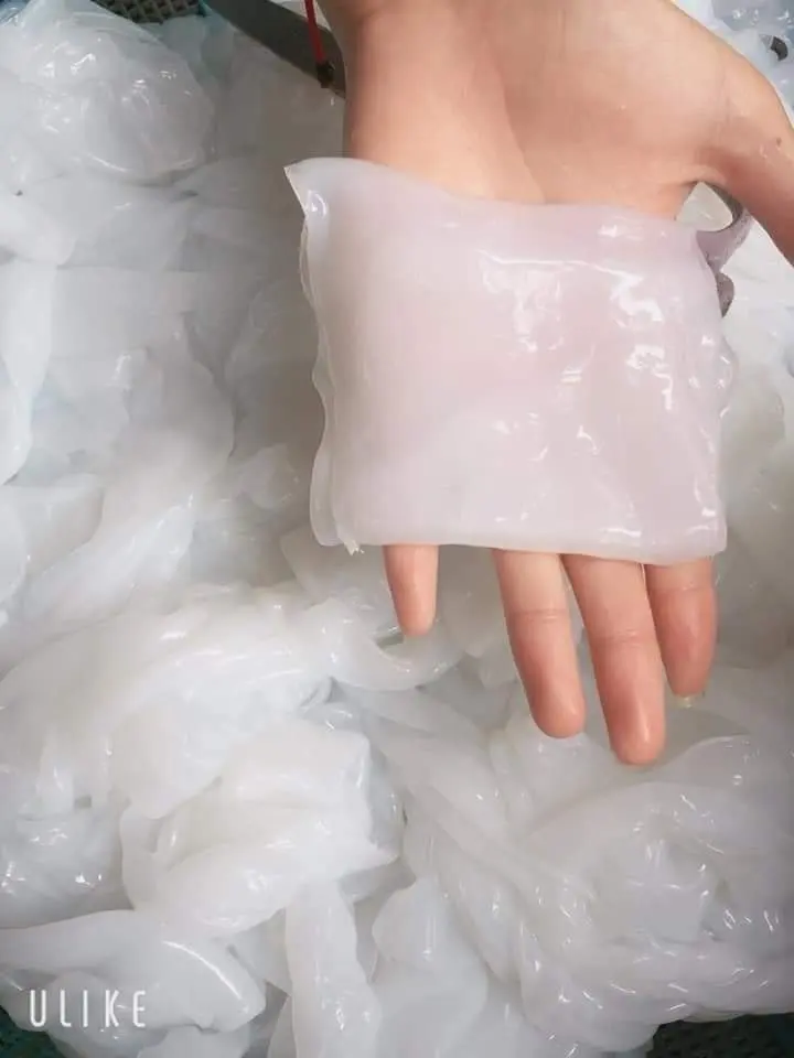 Raw nata de coco/без запаха Nata Coco экспорт Корея Таиланд Япония ../ + Плющ 84977157110