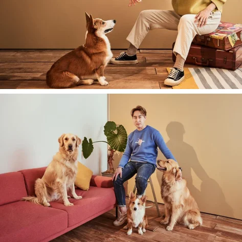 KOREAN SKIN CARE COSMETICS [DR.JART] Cryo Rubber with Moisturizing Hyaluronic Acid