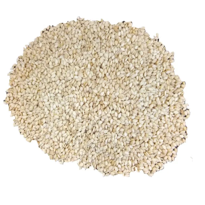 
Sesame Seeds Exporter and Importer Of India Sesame Seeds 