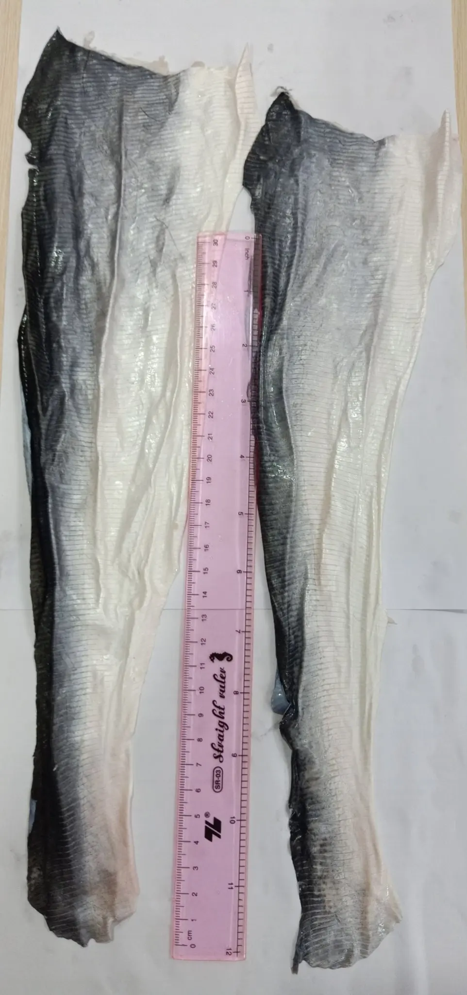  Frozen Pangasius/Basa Skin -