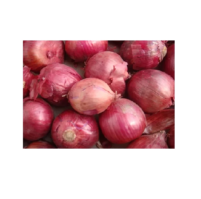 Manufacturers of High Quality Fresh Red Onion From India for Sale in Bulk Quantity With Standard Packaging