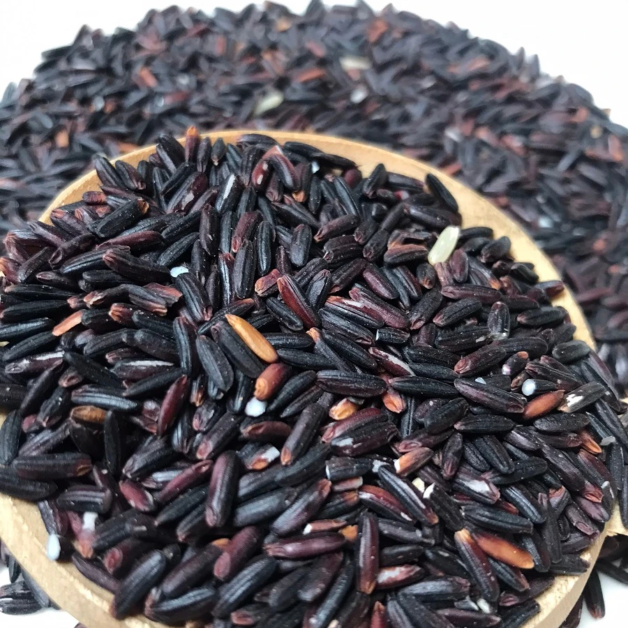 Organic Long Grain Purple Rice Fragrant Dried Sticky Rice Good for Diabeters and Dieters
