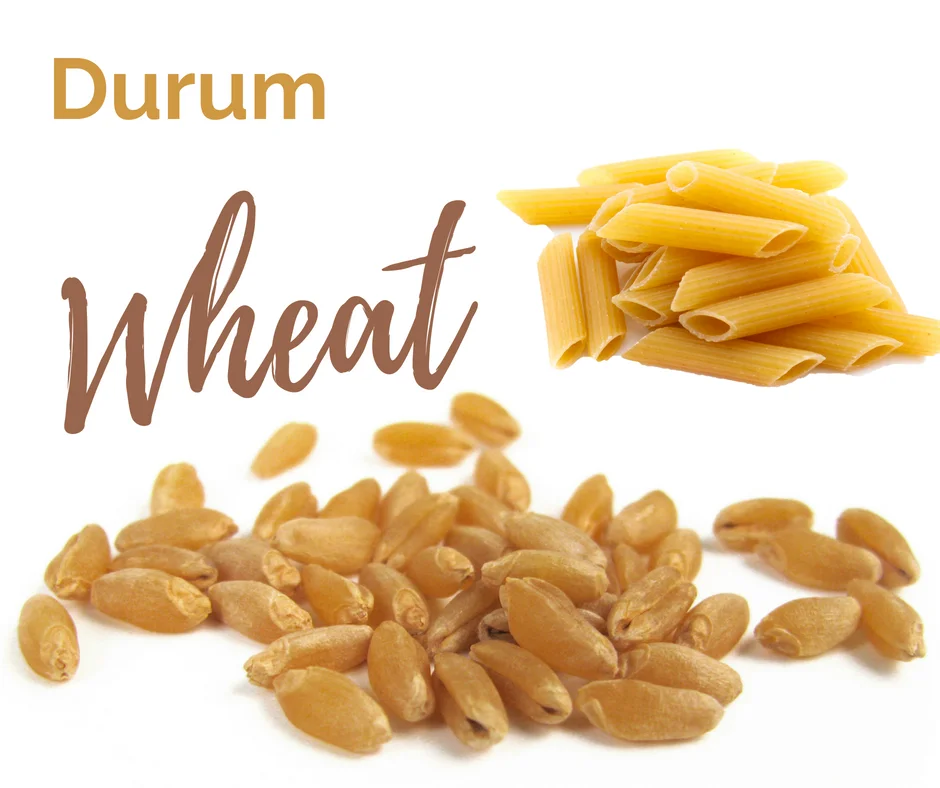 Affordable High Quality Organic Wheat Grains