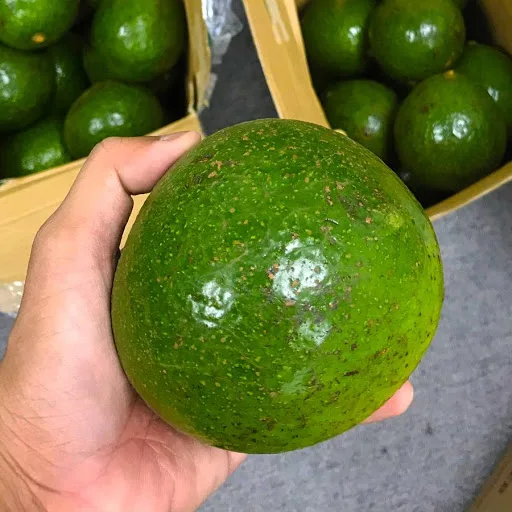 TOP QUALITY AVOCADO ON DECK