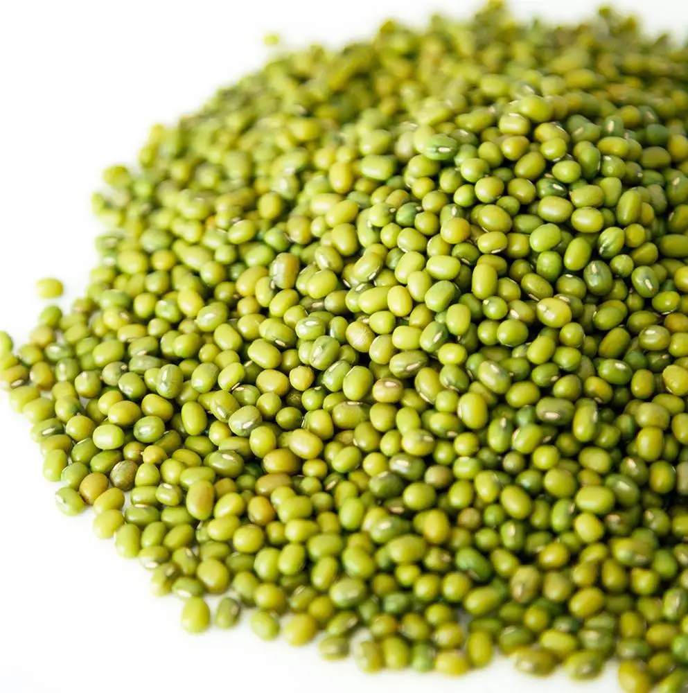USA Premium Grade Sun Dried Mung Beans Green Bean