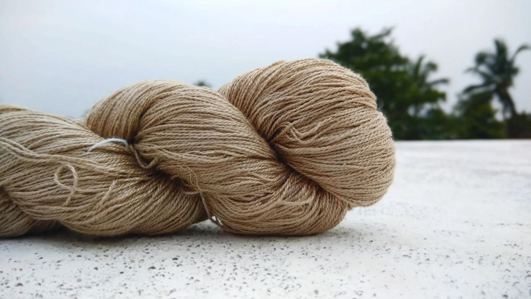 Muga Silk Yarns in Various Counts