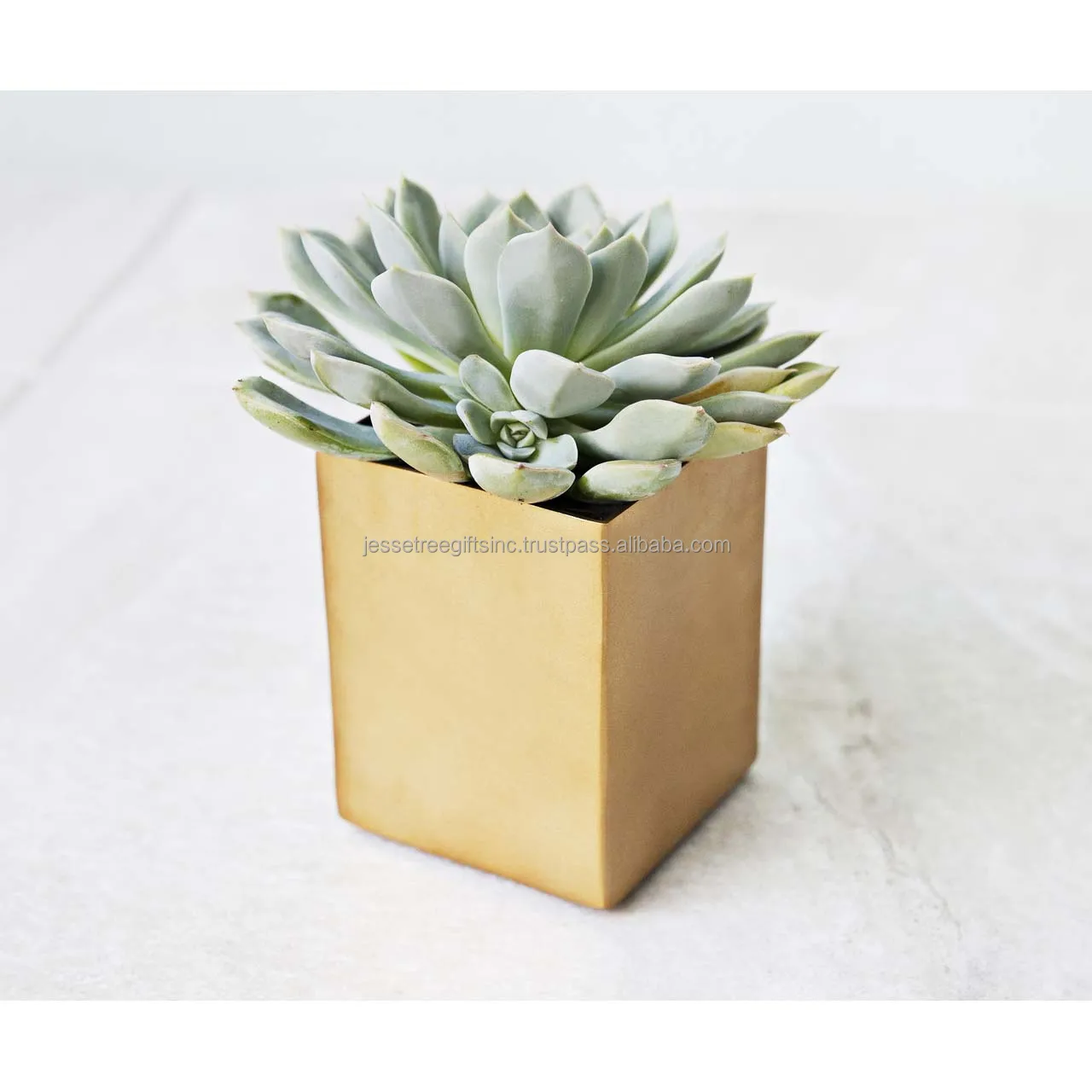 Metal Sheet Planter With White Powder Coating Finishing Embossed Design Oval Shape Genuine Quality For Garden Decoration