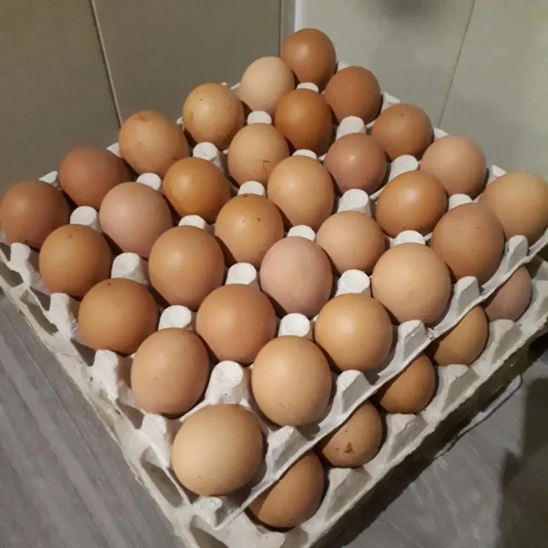 Свежие коричневые куриные яйца лучшего качества для