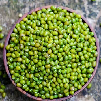 VIETNAM MOONG BEANS/GREEN GRAM/whatsapp: +84 845 639 639