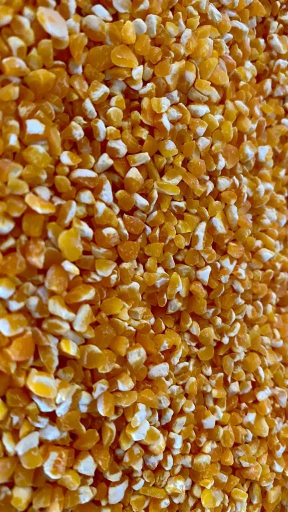 Yellow Corn Grits for animal feed 2021 hot selling