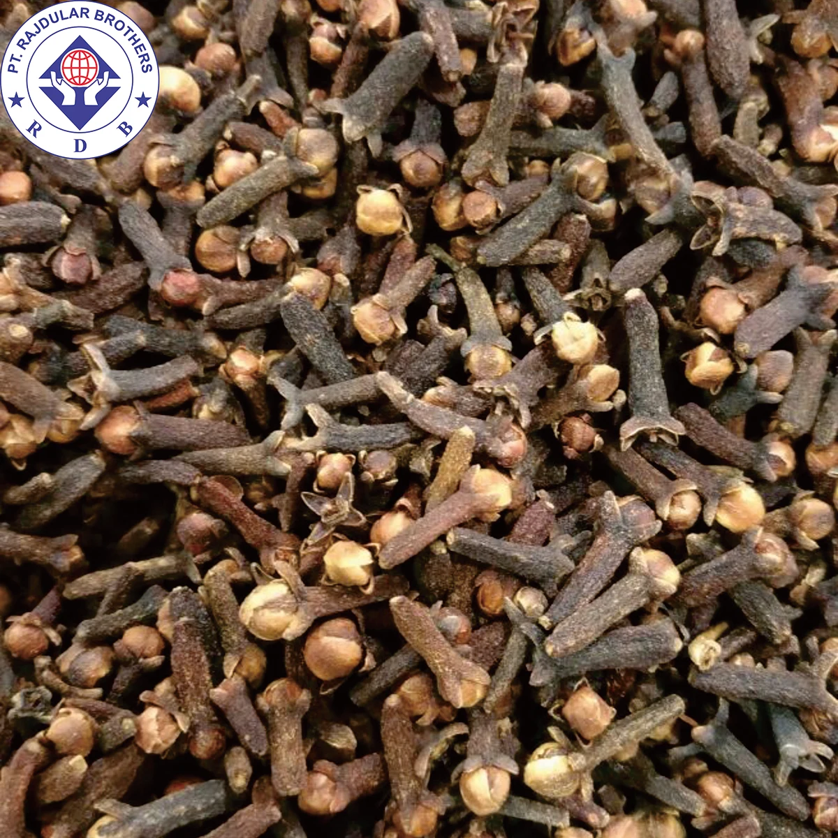 Высококачественная Гвоздика (LALPARI / HPS)