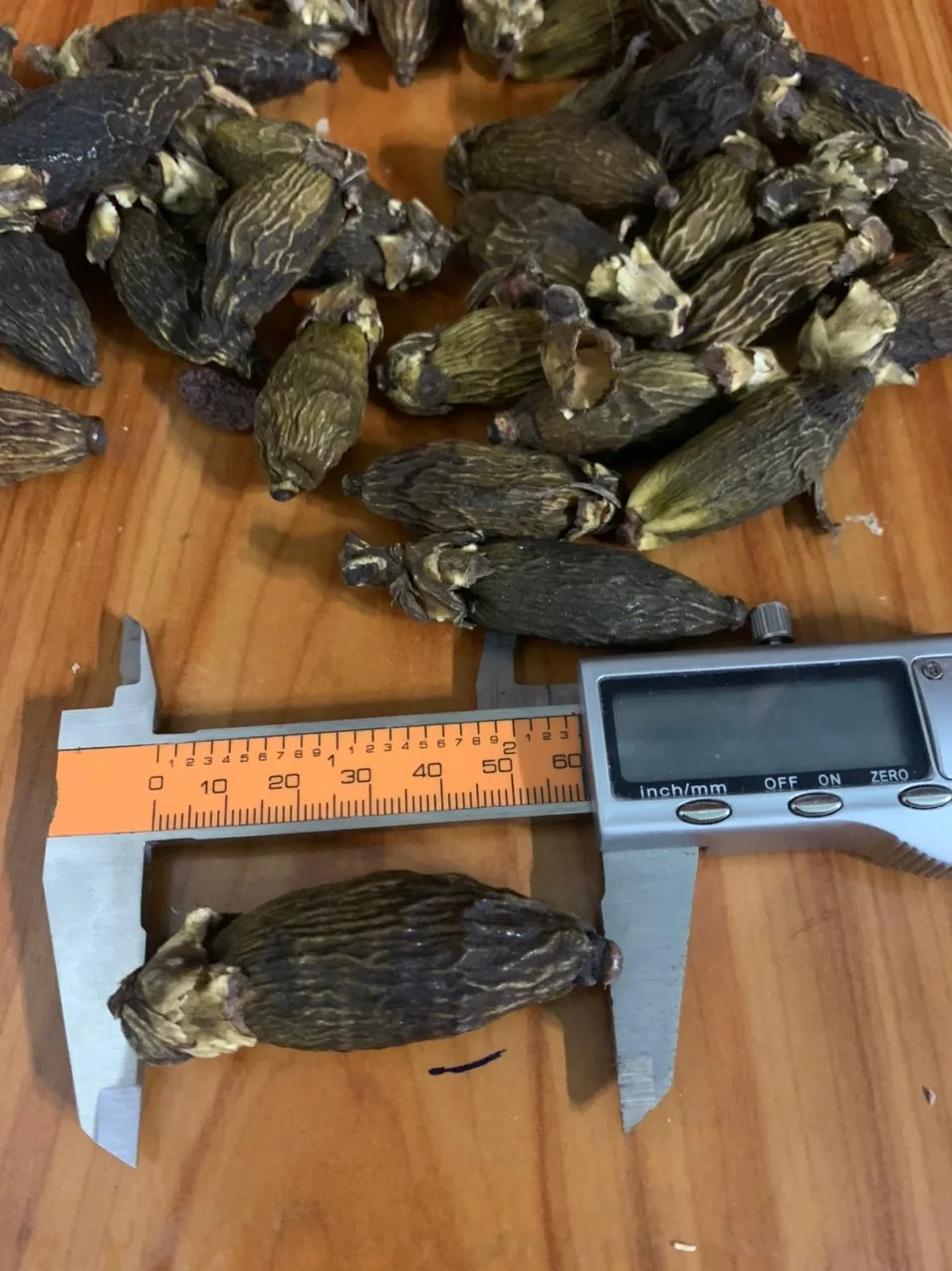 Лучший поставщик лидер продаж 2021 заводская цена орехи Betel/орехи Areca новый сезон сделано во