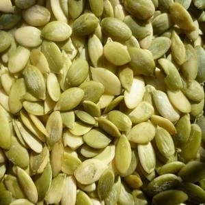 
Shine Skin Pumpkin Seed Kernels for Export 