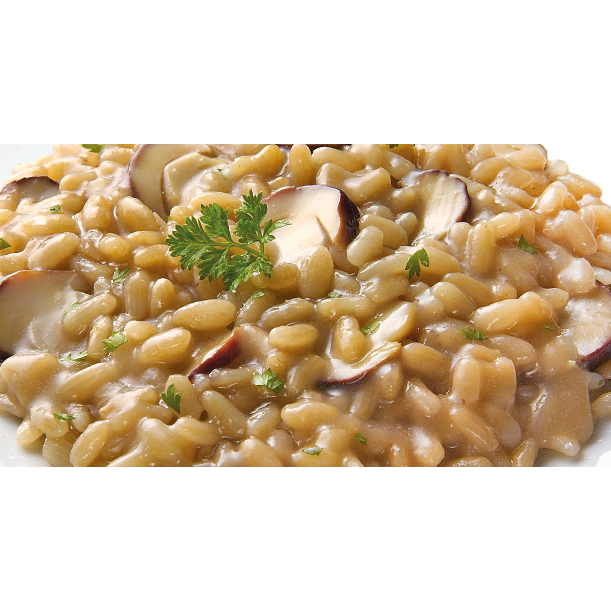 Высококачественные готовые к употреблению рисовые изысканные мгновенные рисовые грибы Risotto 300 г.