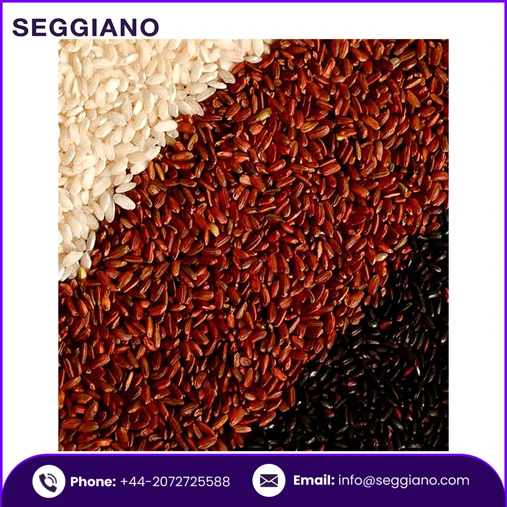 Best Quality Wholesale Factory Price Seggiano Wild Red Rice 500g