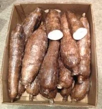Natural Cassava Offered