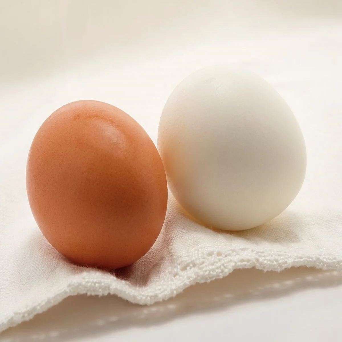 Wholesale White/Brown  Fresh Chicken Table Eggs/ Artificial Ostrich Eggs For Sale