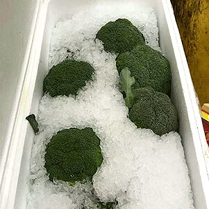 Fresh Broccoli