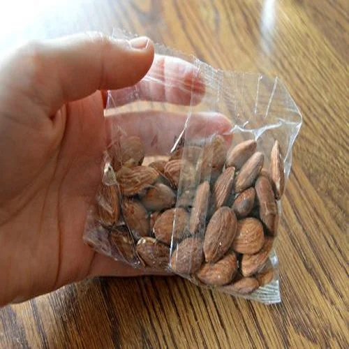 Almond,.jpg
