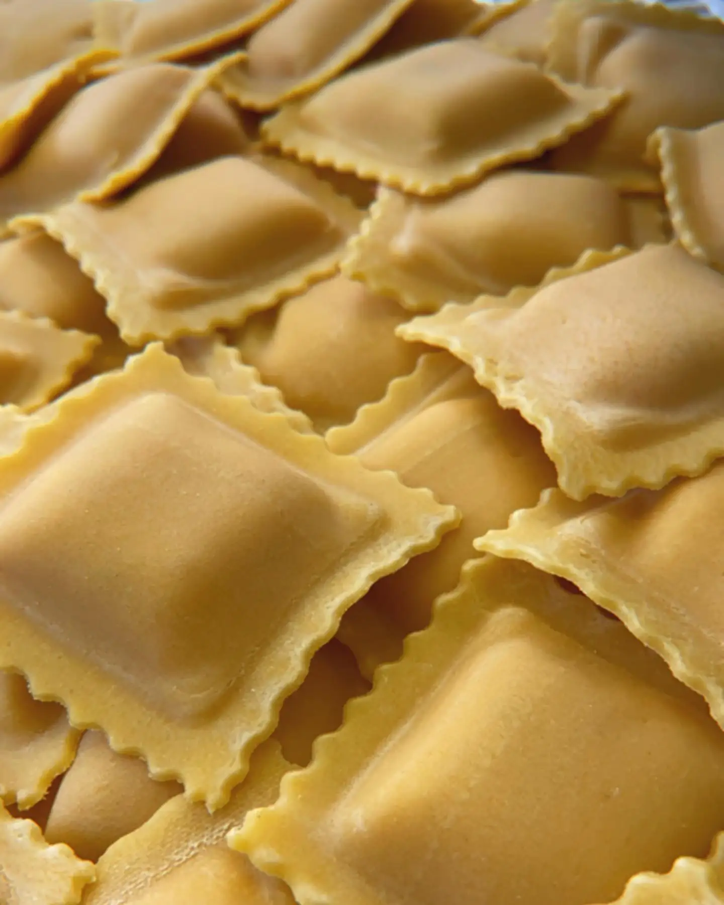 Top quality Authentic Italian recipe Fresh Ravioli with burrata and cherry tomatoes Traditional Pasta for  Export