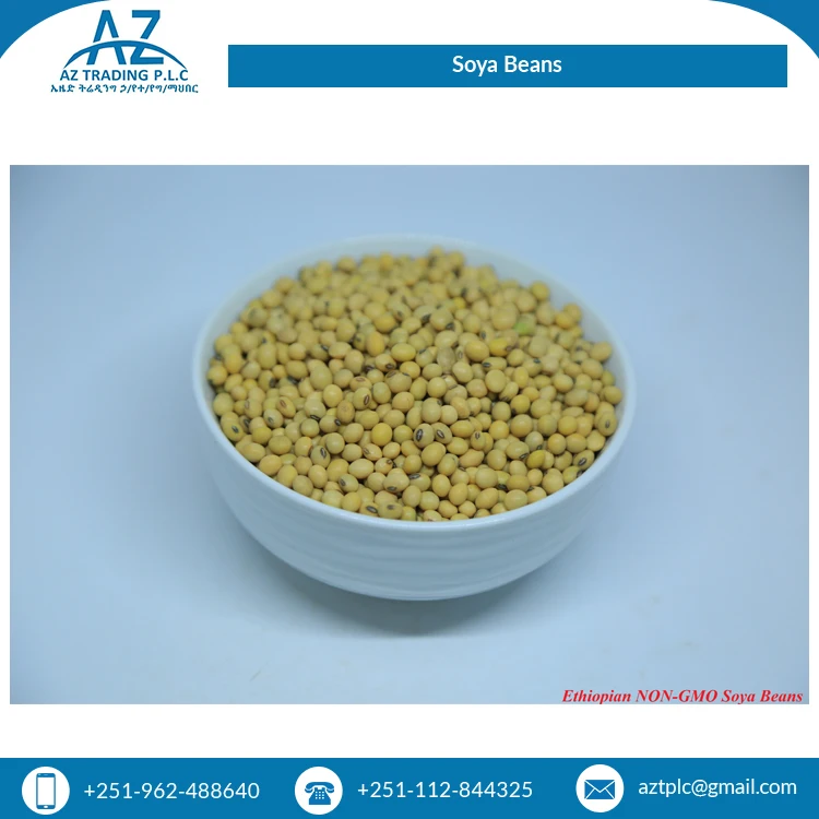 Свежая стильная Высококачественная соевая фасоль для обычного культивирования ручная сборка эфиопийский крем от надежного поставщика