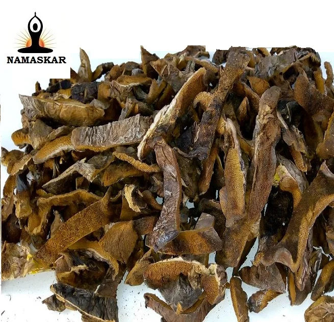 Boletus leteus mushroom I top quality dried mushroom