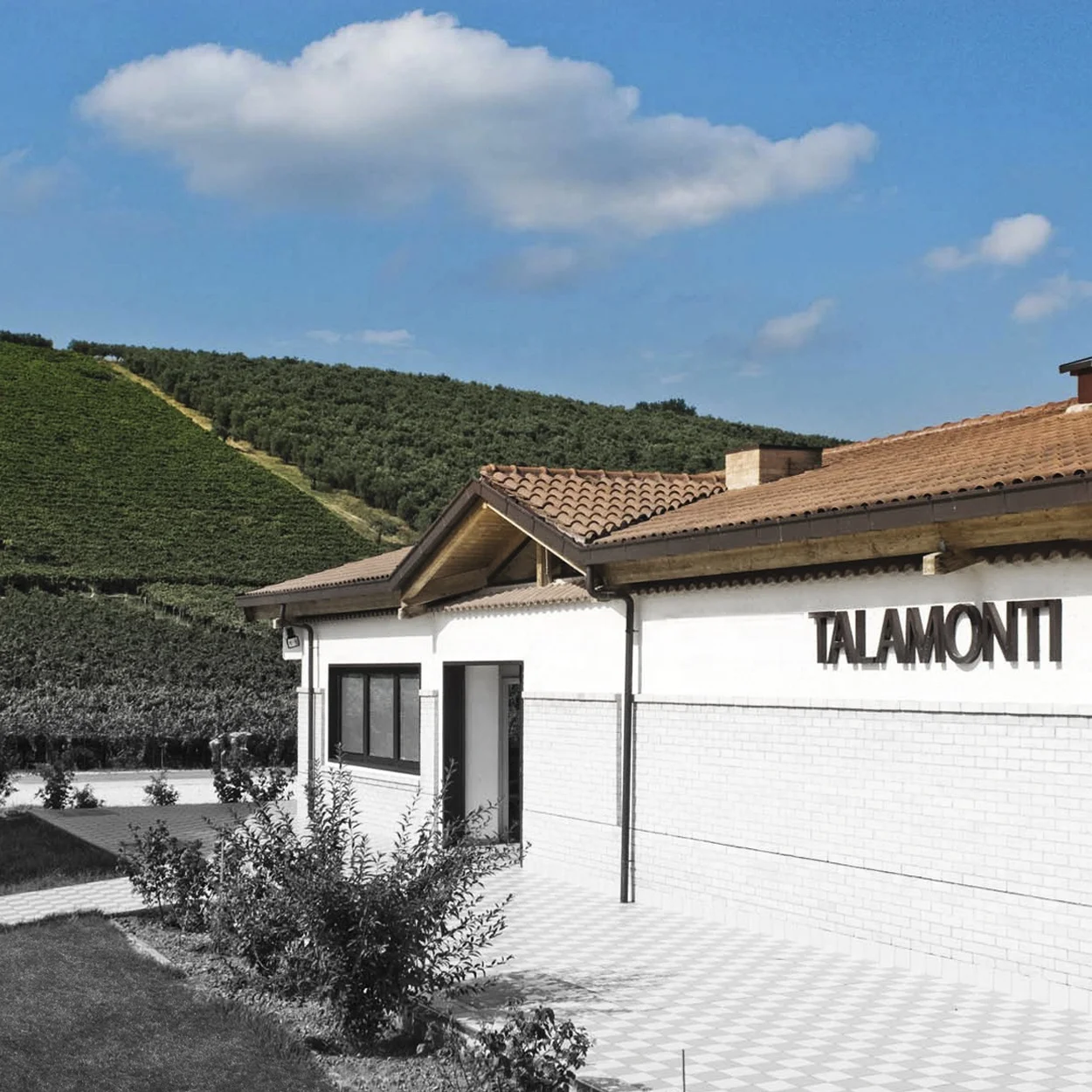 Высококачественное итальянское красное вино-POGGIO DRAGONE sanджоese Merlot 75cl вино спиртовой напиток