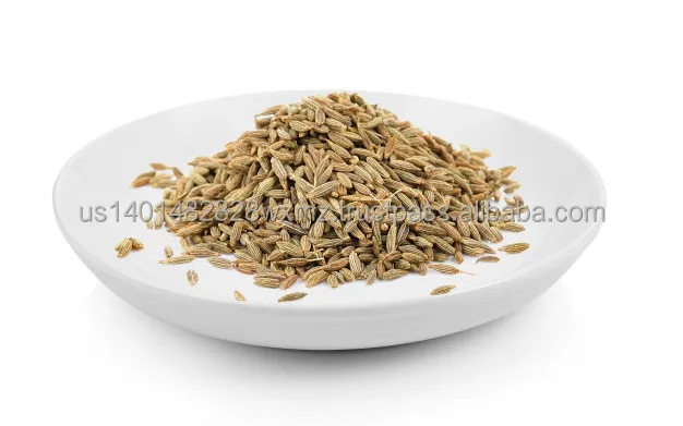 LOW PRICE FOR INDIAN SPICES CUMIN SEEDS JEERA SEEDS INDIA