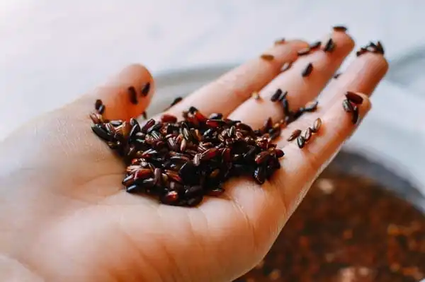 100% натуральный здоровый черный рис с круглыми зернами оптом Лучшая цена/вьетнамский коричневый от Vietnam Delta(Ms Деми + 84 961 733 400)