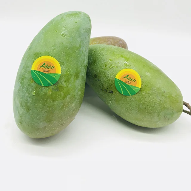 Best Quality Green Mango From Viet Nam