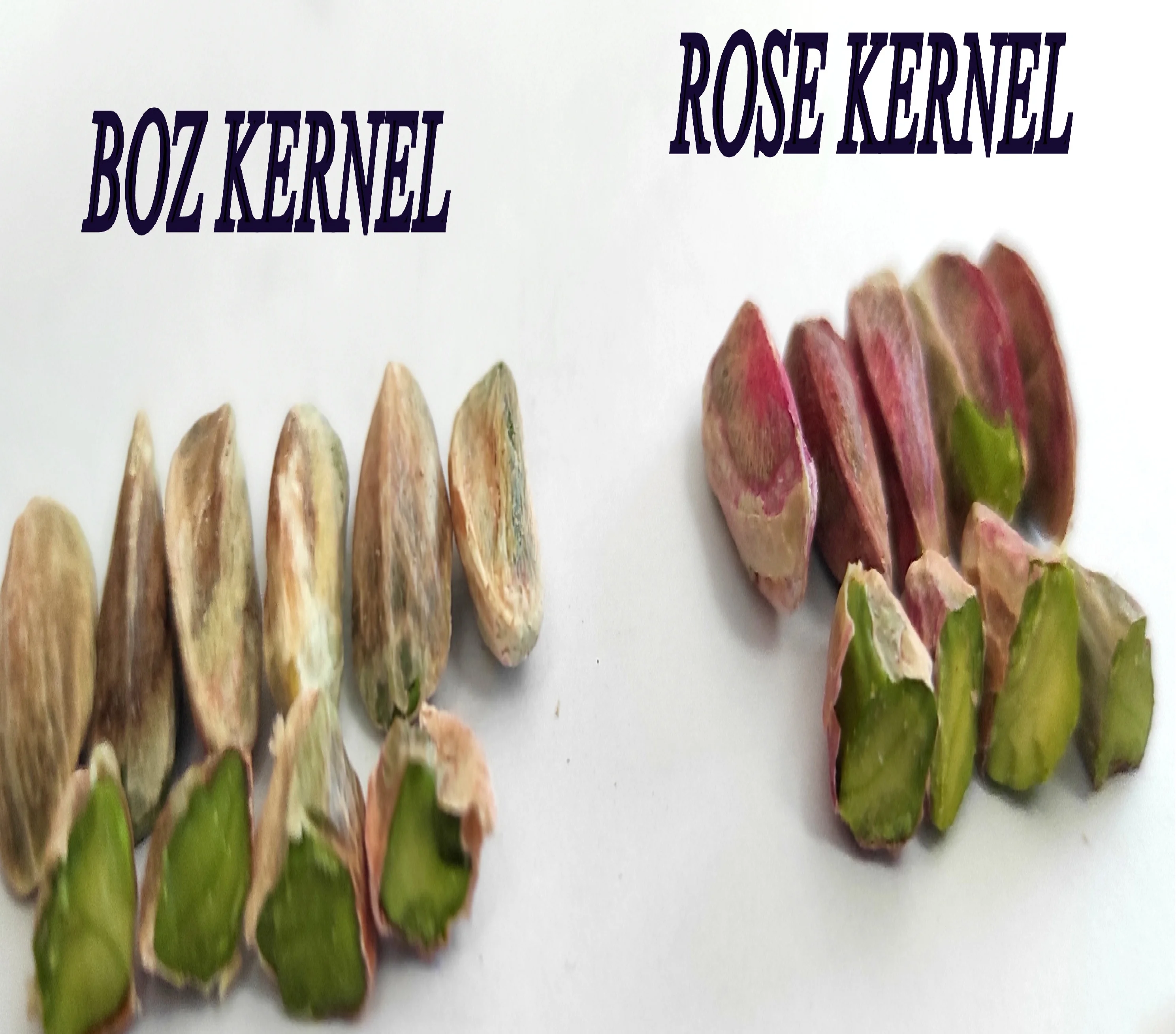
Turkish Pistachio Kernel BOZ GRADE 1 