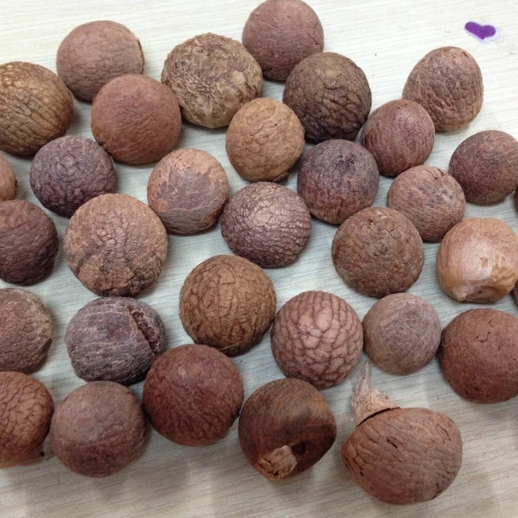 Dried Areca Nut/Areca Nuts/ Organic Dried Areca Nuts Origin