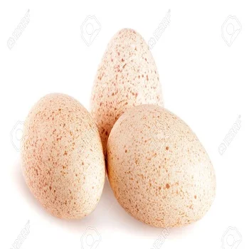 White Fresh Chicken Table Eggs/Fresh Chicken