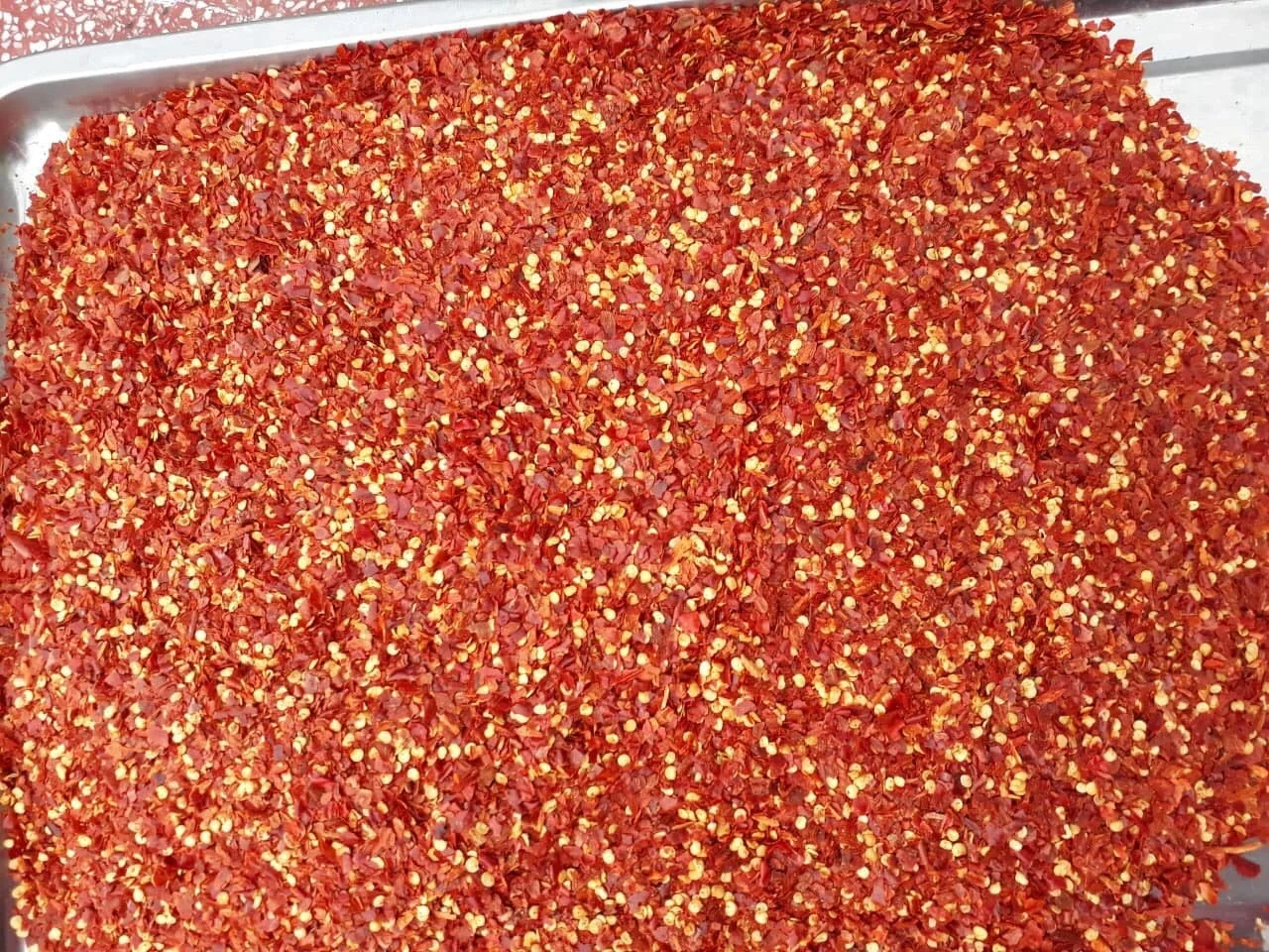 Powder Chilli Puree IQF Hot Pepper Red Chili KOSHER Style Color Herbs Weight Shelf Raw Origin Type Life Shape BRC Product ISO